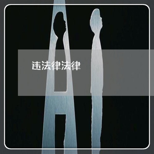 违法律法律 违法律法律