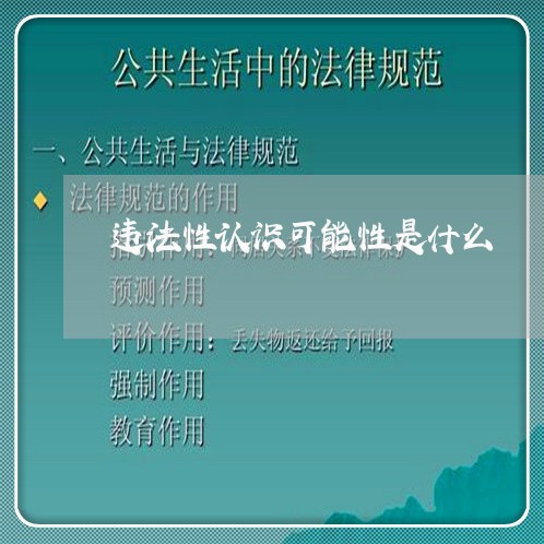 违法性认识可能性是什么