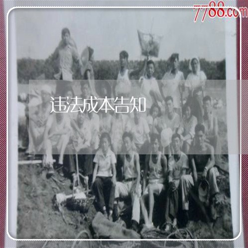 违法成本告知