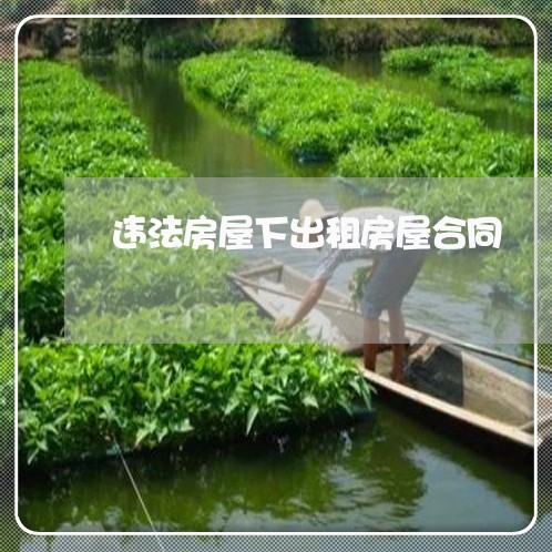 违法房屋下出租房屋合同 违法房屋下出租房屋合同