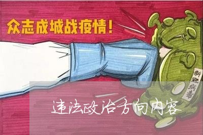 违法政治方向内容