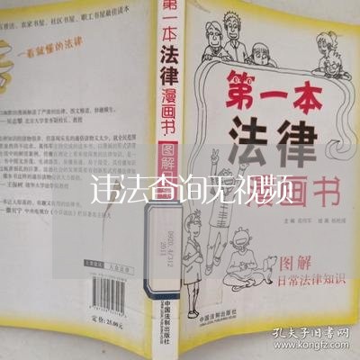 违法查询无视频