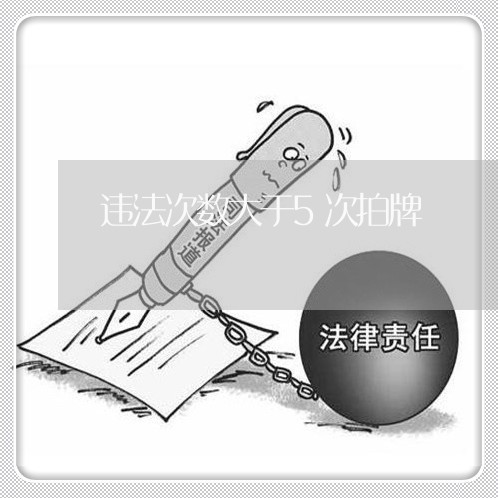 违法次数大于5次拍牌 违法次数大于5次拍牌