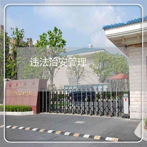 违法治安管理 违法治安管理