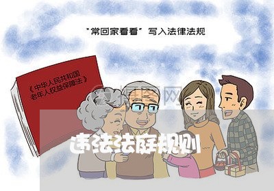 违法法庭规则 违法法庭规则