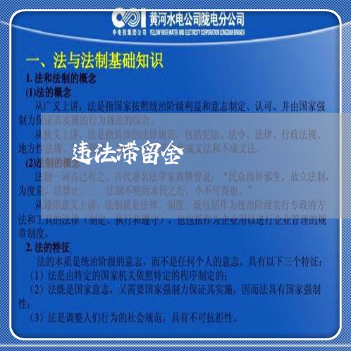 违法滞留金