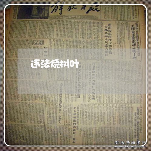 违法烧树叶 违法烧树叶
