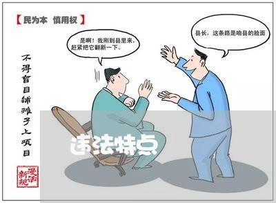 违法特点 违法特点