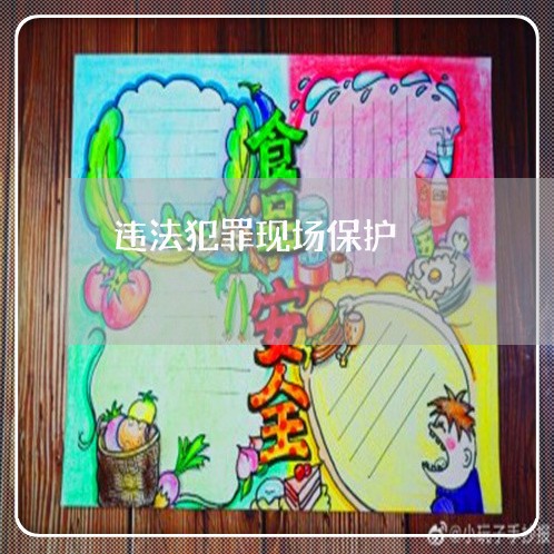 违法犯罪现场保护
