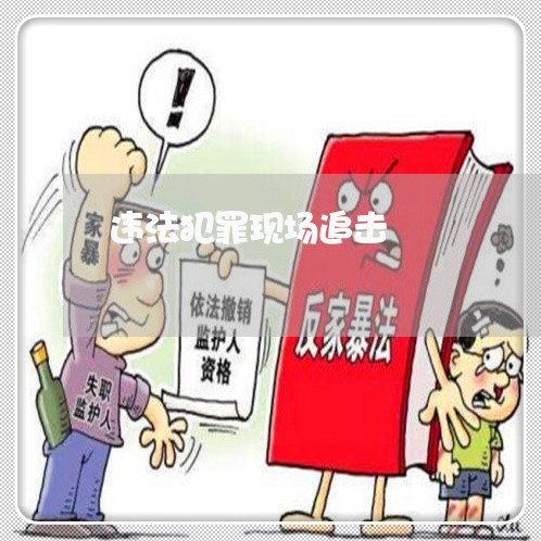 违法犯罪现场追击 违法犯罪现场追击