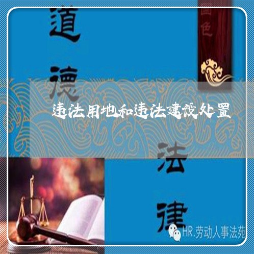违法用地和违法建设处置 违法用地和违法建设处置