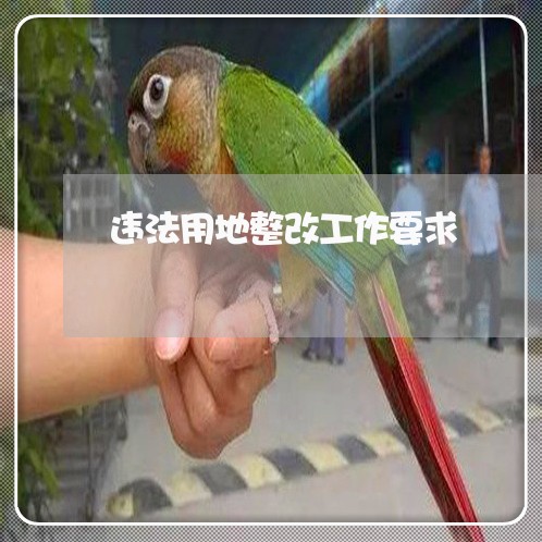 违法用地整改工作要求