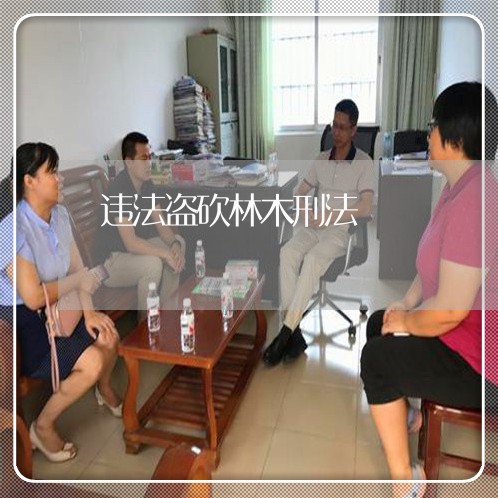 违法盗砍林木刑法 违法盗砍林木刑法