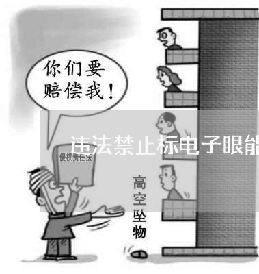 违法禁止标电子眼能拍到吗 违法禁止标电子眼能拍到吗
