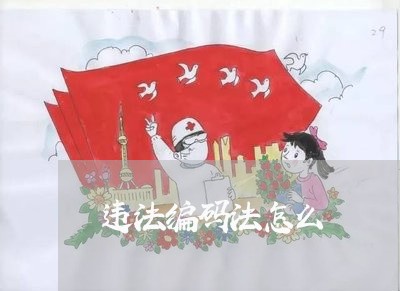 违法编码法怎么 违法编码法怎么