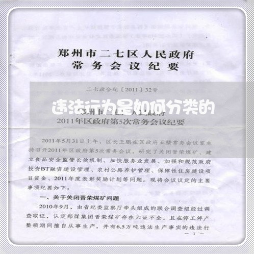 违法行为是如何分类的
