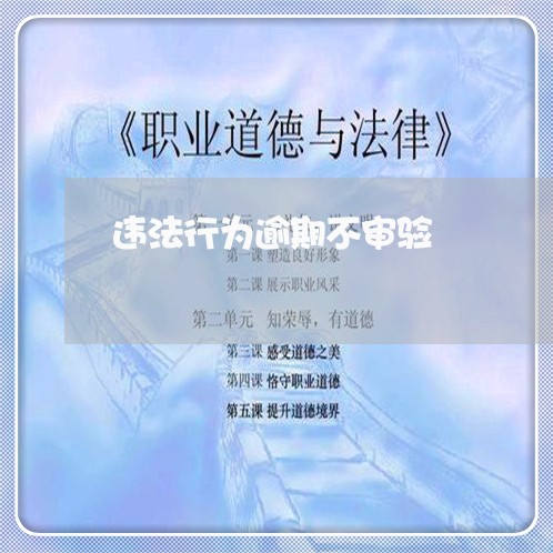 违法行为逾期不审验