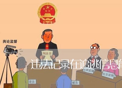 违法记录在追逃信息能看吗