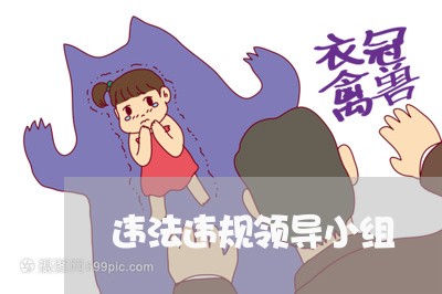 违法违规领导小组 违法违规领导小组