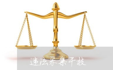 违法采集干枝