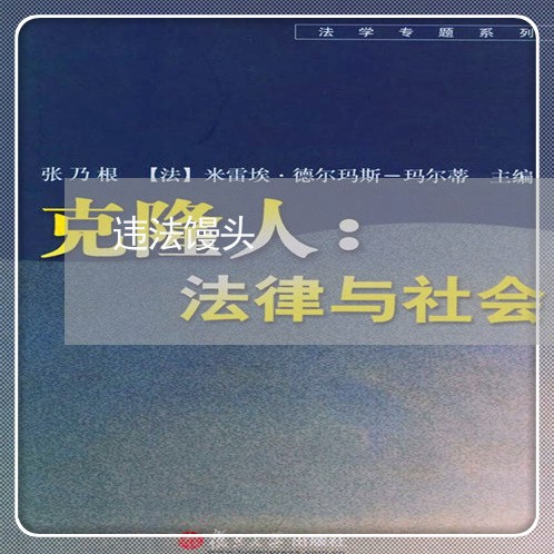 违法馒头 违法馒头