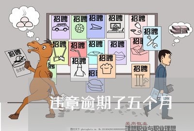 违章逾期了五个月 违章逾期了五个月