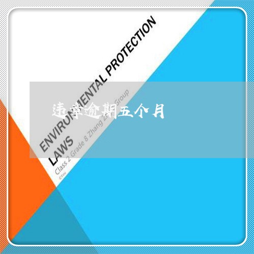 违章逾期五个月 违章逾期五个月