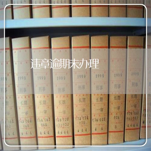 违章逾期未办理