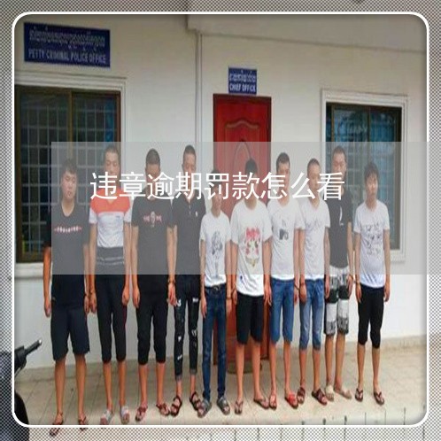 违章逾期罚款怎么看 违章逾期罚款怎么看