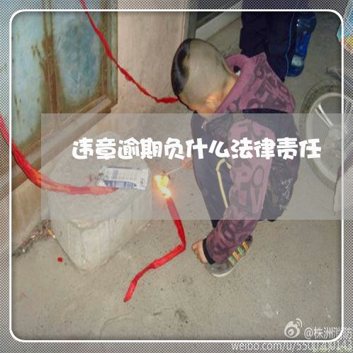 违章逾期负什么法律责任 违章逾期负什么法律责任