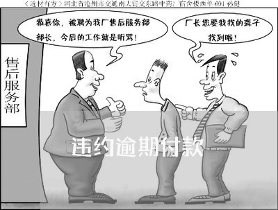 违约逾期付款 违约逾期付款