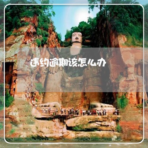 违约逾期该怎么办 违约逾期该怎么办