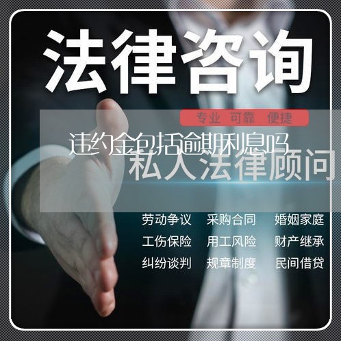 违约金包括逾期利息吗