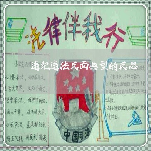 违纪违法反面典型的反思 违纪违法反面典型的反思