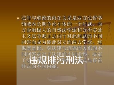 违规排污刑法