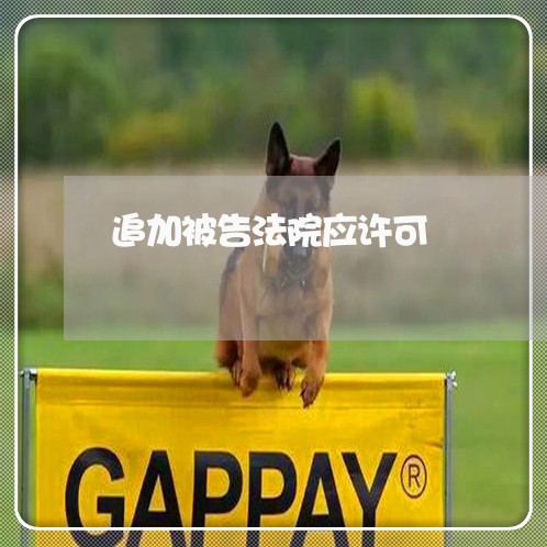 追加被告法院应许可 追加被告法院应许可