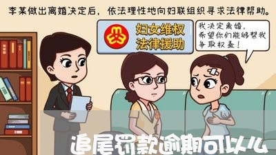 追尾罚款逾期可以么