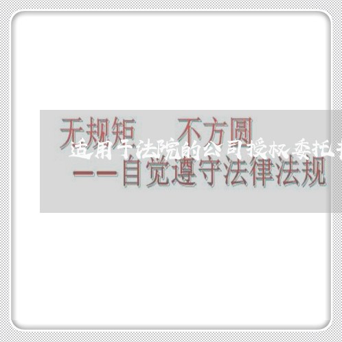 适用于法院的公司授权委托书