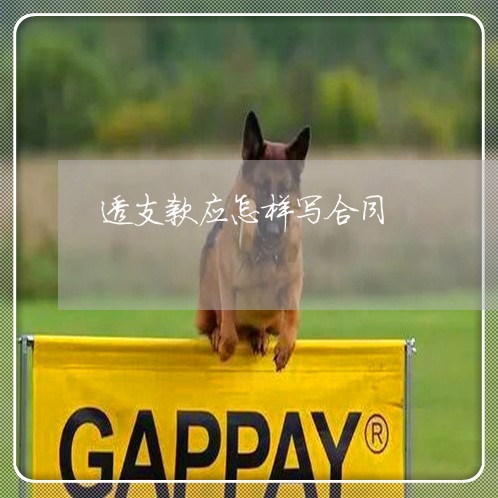 透支款应怎样写合同/2023022762603 透支款应怎样写合同/2023022762603