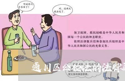 通川区公检法的法律顾问/2023061706049