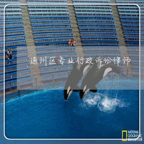 通州区专业行政诉讼律师