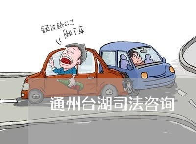 通州台湖司法咨询