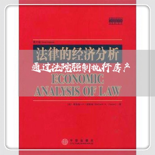 通过法院强制执行房产 通过法院强制执行房产