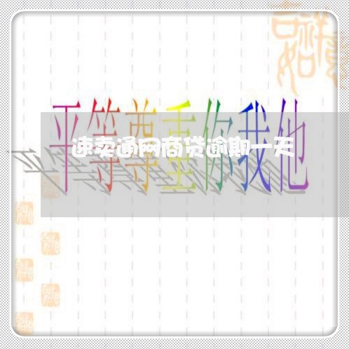 速卖通网商贷逾期一天/2023022428706 速卖通网商贷逾期一天/2023022428706