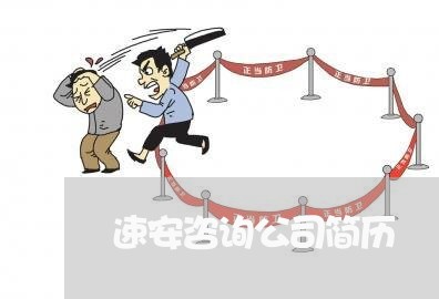 速安咨询公司简历