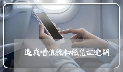 造成增值税扣税凭证逾期 造成增值税扣税凭证逾期