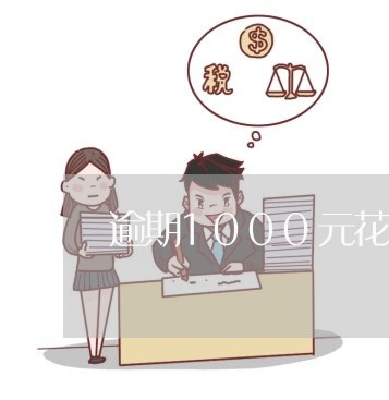 逾期1000元花呗每天利息