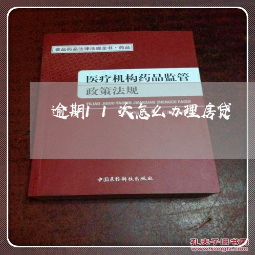 逾期11次怎么办理房贷/2023060937058