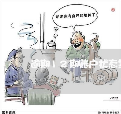逾期12期账户状态显示的是什么 逾期12期账户状态显示的是什么