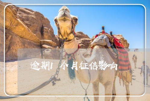 逾期1个月征信影响 逾期1个月征信影响